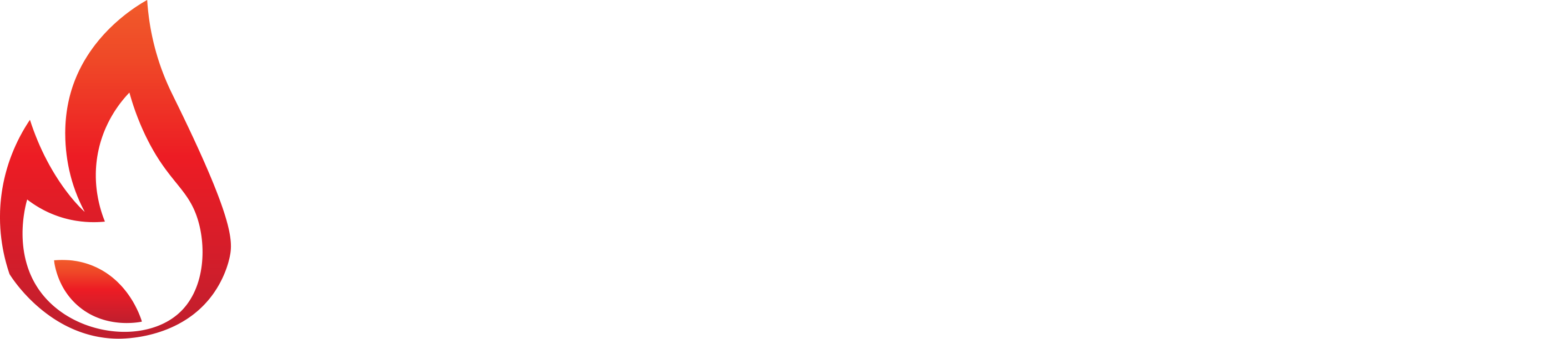CT Eco Ltd